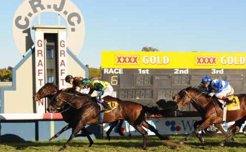 BY A HEAD: Twin Wing wins the Grafton Cup yesterday. BY A HEAD: Twin Wing wins the Grafton Cup yesterday.